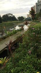 Blk 687A Choa Chu Kang Drive (Choa Chu Kang), HDB 4 Rooms #489176771